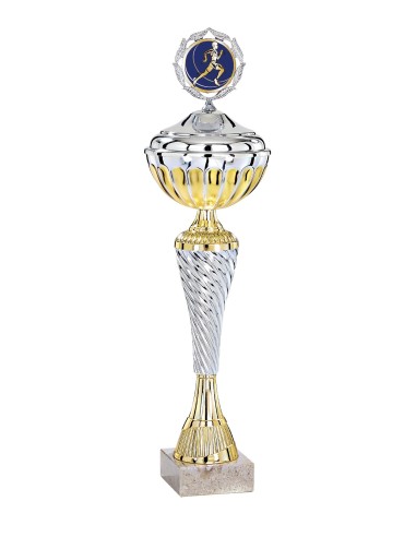 Coupe Économique Métal avec couvercle - 33 cm - Argent / Or - Réf FSP-2042WS08C