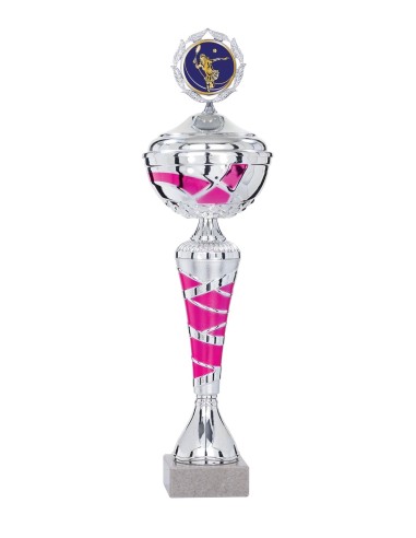 Coupe Économique Métal avec couvercle - 33 cm - Argent / Rose - Réf FSP-2071WS08C