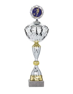 Coupe Économique Métal avec couvercle - 33 cm - Argent / Or - Réf FSP-2101WS09C