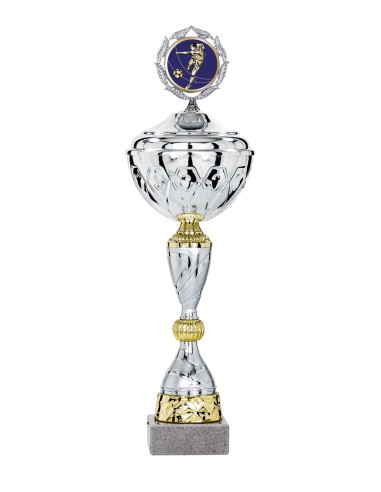 Coupe Économique Métal avec couvercle - 33 cm - Argent / Or - Réf FSP-2101WS09C