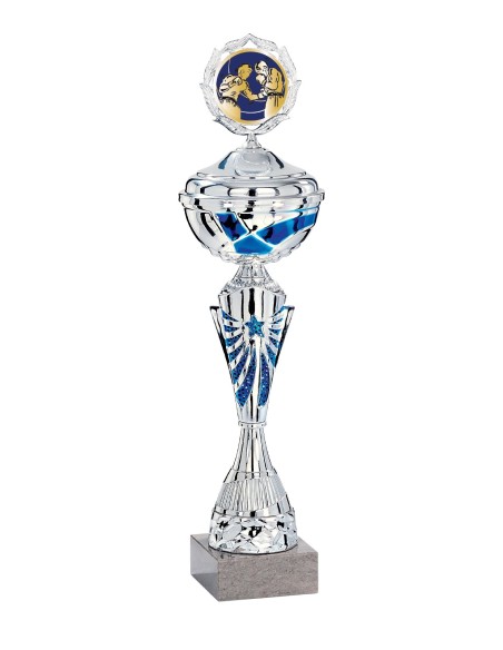 Coupe Économique Métal avec couvercle - 42 cm - Argent / Bleu - Réf FSP-2173WS12C