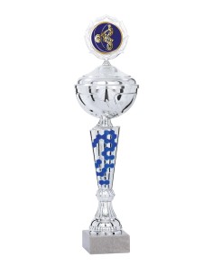 Coupe Économique Métal avec couvercle - 41 cm - Argent / Bleu - Réf FSP-2243WS12C
