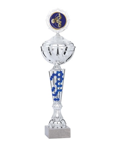 Coupe Économique Métal avec couvercle - 44 cm - Argent / Bleu - Réf FSP-2244WS12C