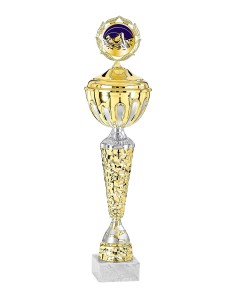 Coupe Économique Métal avec couvercle - 39 cm - Or / Argent Mat - Réf FSP-2283WG10C