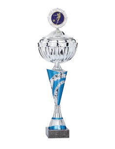 Coupe Économique Métal avec couvercle - 40 cm - Argent / Bleu - Réf FSP-2402WS12C