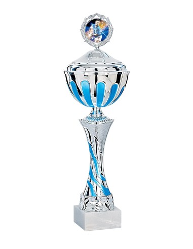 Coupe Économique Métal avec couvercle - 37 cm - Argent / Bleu - Réf FSP-2511WS10C