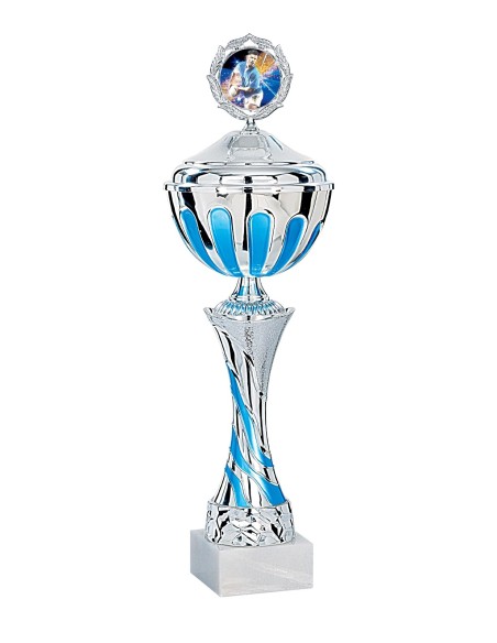 Coupe Économique Métal avec couvercle - 50 cm - Argent / Bleu - Réf FSP-2514WS16C