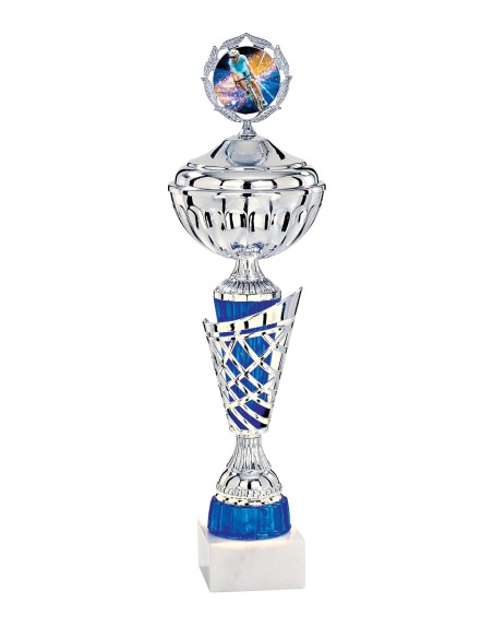Coupe Économique Métal avec couvercle - 40 cm - Argent / Bleu - Réf FSP-2641WS10C