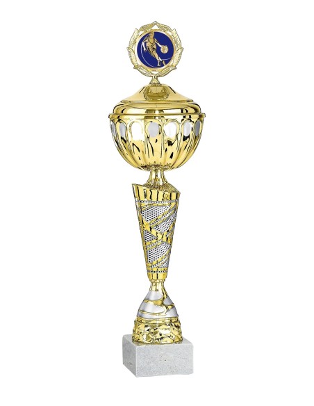 Coupe Économique Métal avec couvercle - 36 cm - Or / Argent Mat - Réf FSP-2651WG09C