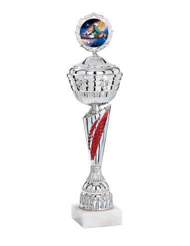 Coupe Économique Métal avec couvercle - 43 cm - Argent / Rouge - Réf FSP-2933WS12C