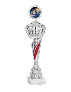 Coupe Économique Métal avec couvercle - 46 cm - Argent / Rouge - Réf FSP-2934WS14C