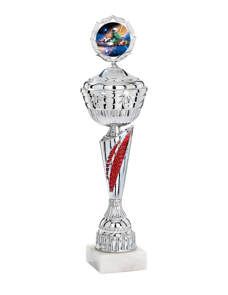 Coupe Économique Métal avec couvercle - 46 cm - Argent / Rouge - Réf FSP-2934WS14C