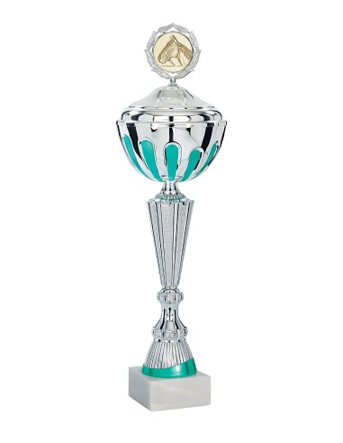 Coupe Économique Métal avec couvercle - 41 cm - Argent / Vert pastel - Réf FSP-2952WS12C