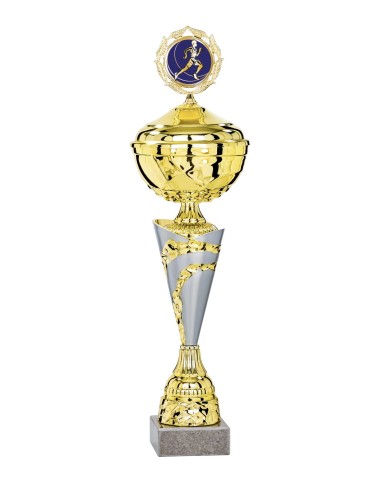Coupe Économique Métal avec couvercle - 44 cm - Or / Argent Mat - Réf FSP-3073WG14C
