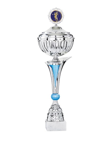 Coupe Économique Métal avec couvercle - 46 cm - Argent / Bleu - Réf FSP-3274WS14C