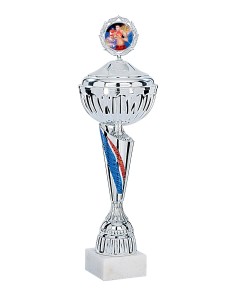 Coupe Économique Métal avec couvercle - 38 cm - Argent / Bleu / Rouge - Réf FSP-3351WS10C