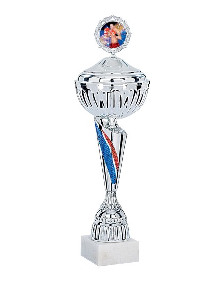 Coupe Économique Métal avec couvercle - 38 cm - Argent / Bleu / Rouge - Réf FSP-3351WS10C