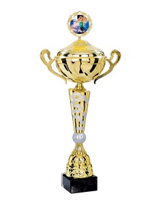 Coupe Premium Métal avec couvercle - 55 cm - Or / Argent Mat - Réf FSP-4184WG16C