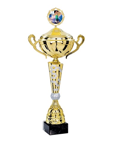 Coupe Premium Métal avec couvercle - 55 cm - Or / Argent Mat - Réf FSP-4184WG16C
