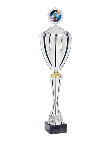 Coupe Premium Métal avec couvercle - 43 cm - Argent / Or - Réf FSP-4221WS10C