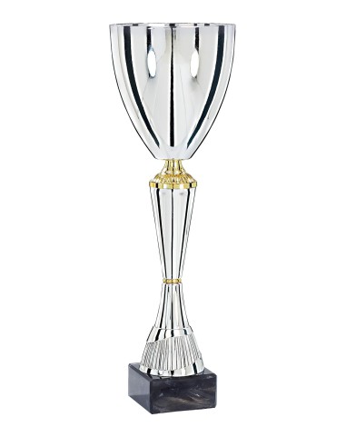 Coupe Premium Métal - 50 cm - Argent / Or - Réf FSP-4224