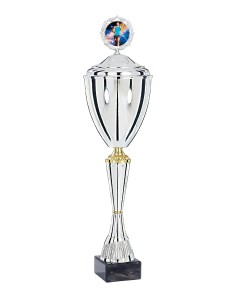 Coupe Premium Métal avec couvercle - 60 cm - Argent / Or - Réf FSP-4224WS16C