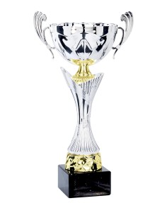 Coupe Premium Métal - 30 cm - Argent / Or - Réf FSP-4251