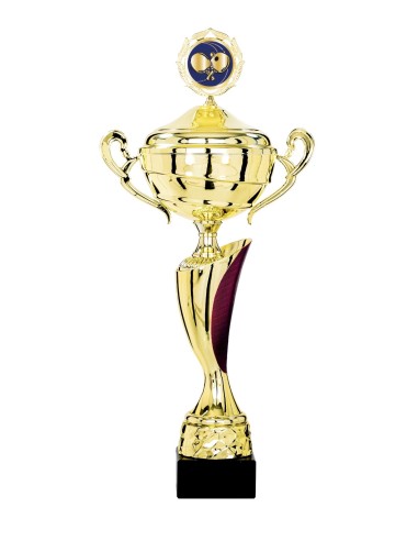 Coupe Classique Métal avec couvercle - 38 cm - Or / Fushia - Réf FSP-4301WG10C