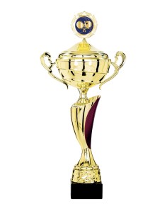 Coupe Classique Métal avec couvercle - 50 cm - Or / Fushia - Réf FSP-4304WG16C