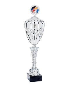 Coupe Premium Métal avec couvercle - 47 cm - Argent - Réf FSP-4322WS12C