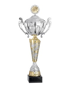 Coupe Premium Métal avec couvercle - 51 cm - Or / Argent - Réf FSP-4554WS14C