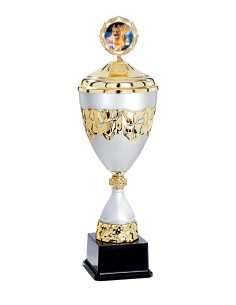 Coupe Premium Métal avec couvercle - 47 cm - Or / Argent Mat - Réf FSP-4564WG16C
