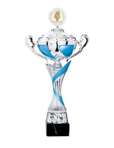 Coupe Classique Métal avec couvercle - 50 cm - Argent / Bleu - Réf FSP-4604WS16C