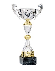 Coupe Classique Métal - 30 cm - Argent / Or - Réf FSP-4831