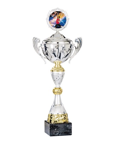 Coupe Classique Métal avec couvercle - 53 cm - Argent / Or - Réf FSP-4834WS16C