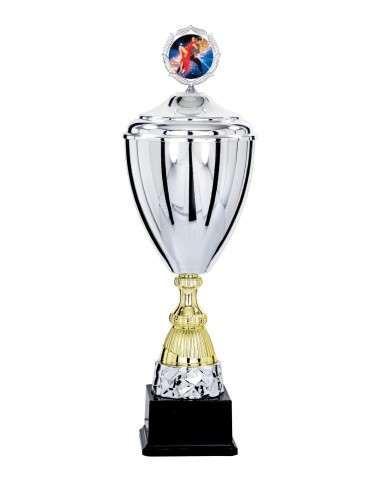 Coupe Classique Métal avec couvercle - 43 cm - Argent / Or - Réf FSP-5072WS14C