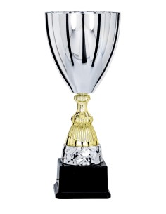 Coupe Classique Métal - 41 cm - Argent / Or - Réf FSP-5074