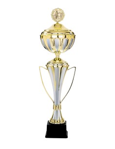 Coupe Classique Métal avec couvercle - 62 cm - Réf FSP-5113WG18C