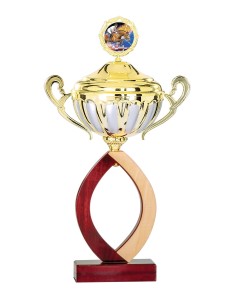Coupe Classique Bois avec couvercle - 49 cm - Or / Argent Mat - Réf FSP-5243WG18C