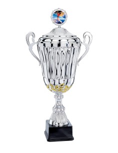 Coupe Classique Métal avec couvercle - 50 cm - Argent / Or - Réf FSP-5562WS16C