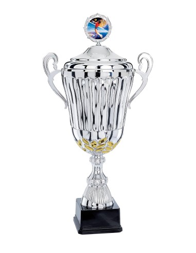 Coupe Classique Métal avec couvercle - 50 cm - Argent / Or - Réf FSP-5562WS16C