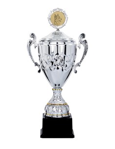 Coupe Classique Métal avec couvercle - 37 cm - Argent / Argent Mat - Réf FSP-5611WS10C