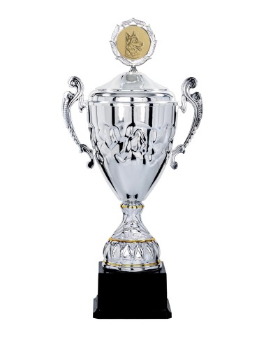 Coupe Classique Métal avec couvercle - 46 cm - Argent / Argent Mat - Réf FSP-5613WS14C