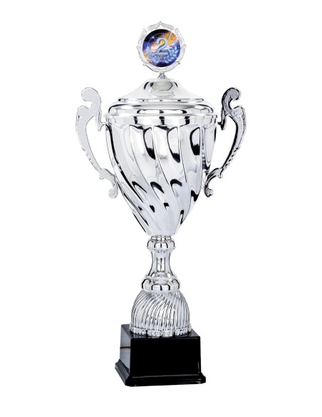 Coupe Classique Métal avec couvercle - 45 cm - Argent - Réf FSP-5712WS14C