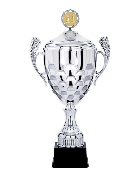 Coupe Prestige Métal avec couvercle - 45 cm - Argent / Argent Mat - Réf FSP-5901WS14C