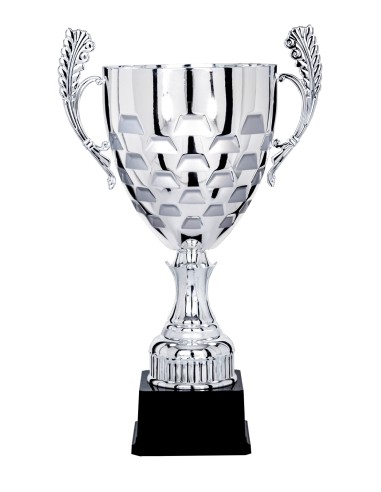 Coupe Prestige Métal - 48 cm - Argent / Argent Mat - Réf FSP-5904
