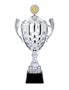 Coupe Prestige Métal avec couvercle - 58 cm - Argent / Argent Mat - Réf FSP-5904WS20C