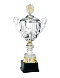 Coupe Prestige Métal avec couvercle - 50 cm - Argent / Or - Réf FSP-6028WS16C