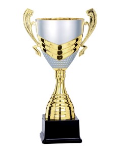 Coupe - 38 cm - Or / Argent Mat - Réf FSP-6872