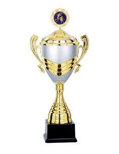 Coupe - 55 cm - Or / Argent Mat - Réf FSP-6874WG18C